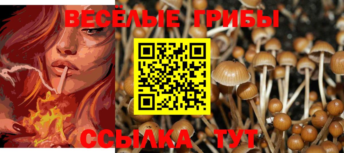 Галлюциногенные грибы мицелий Юрга