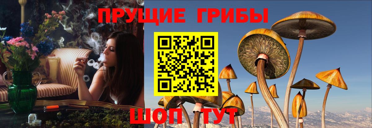 Галлюциногенные грибы MAGIC MUSHROOMS  Вход с VPN  Юрга 